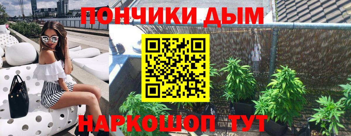 Шишки марихуана семена Острогожск